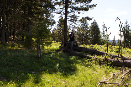 canada nature outdoors bc okanagan osoyoos fourwheeling