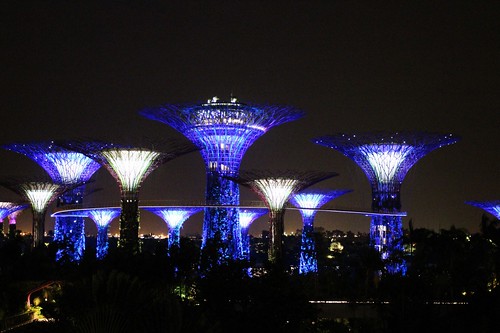 Supertrees in the Garden by the Bay