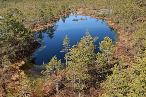 blue water forest landscape estonia lahemaa viruraba canonef24105mmf4lisusm virubog blatics