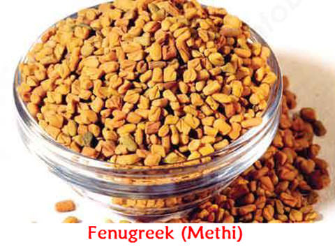 fenugreek for hair growth and prevent hair loss