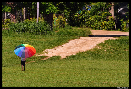 boy sun field grass umbrella d800 vanuatu 2016 portvila