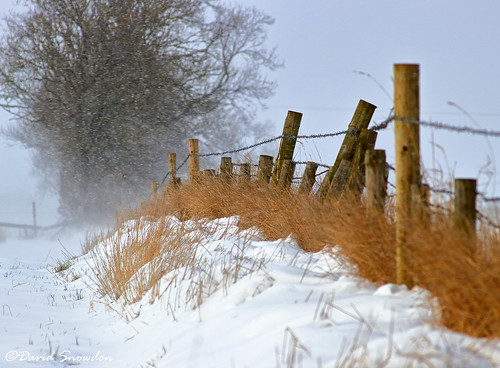 davidsnowdonphotography canoneos80d landscape fence snow barbedwire grass winter northyorkshire