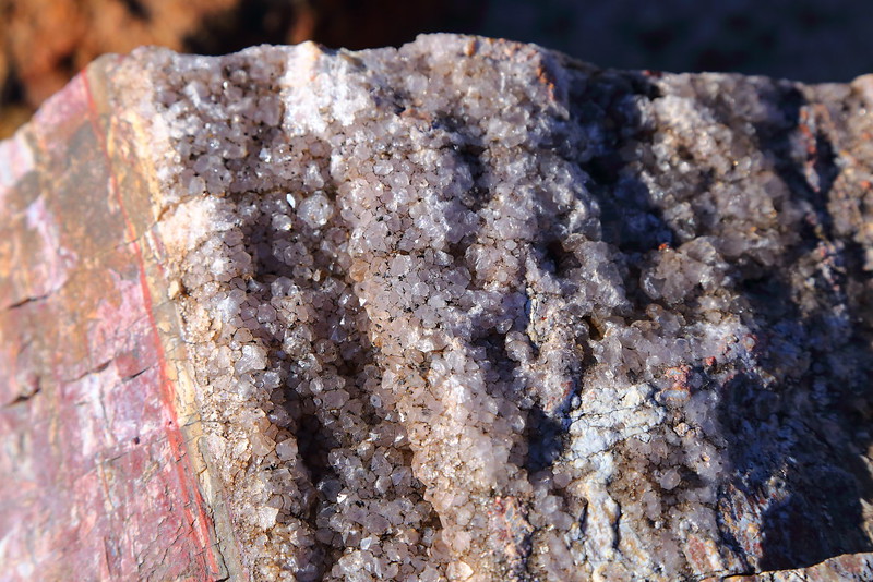 IMG_0900 Crystal on Petrified Wood