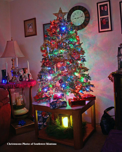 christmas tree decoration night dark ornament lights pine rocky mountains rockies rockymountains beaverhead beaverheaddeerlodgenationalforest photosofsouthwestmontana dillon montana bradchristensen