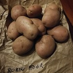 saved potatoes for next year
