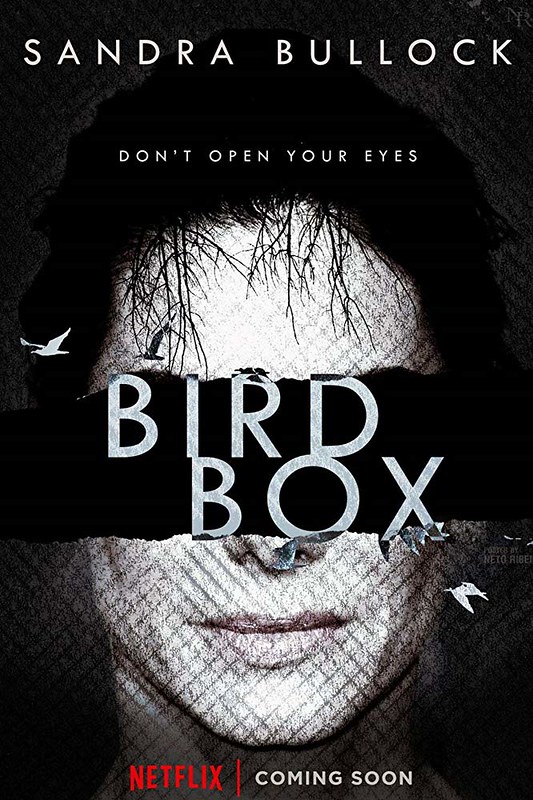 Bird Box - Poster 2