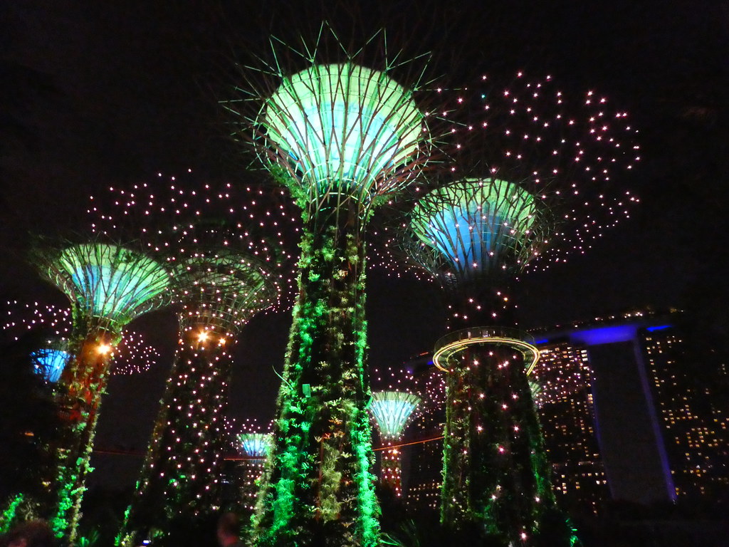 The Supertrees illuminated during the Garden Rhapsody music and light show, Singapore 