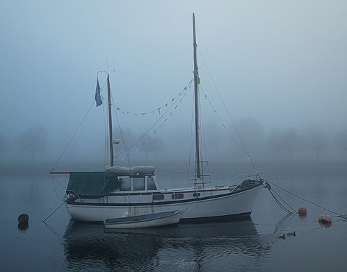 riverleven river boat buoy float mist fog freezing trees silhouette ducks dumbarton scotland landscape water sky