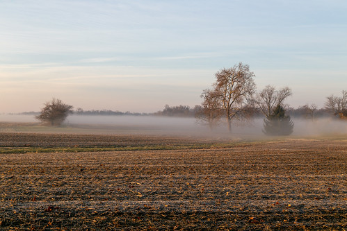 farmland fog sunrise wilmington ohio unitedstates us uniontownship field landscape scenic pleasant trees stubble mist clintoncounty