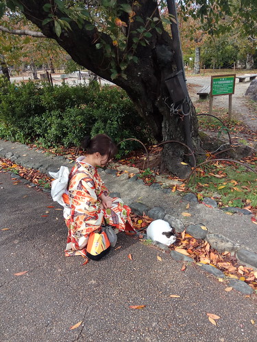 Улиткины в Японии в поисках момидзи. Осень - 2018