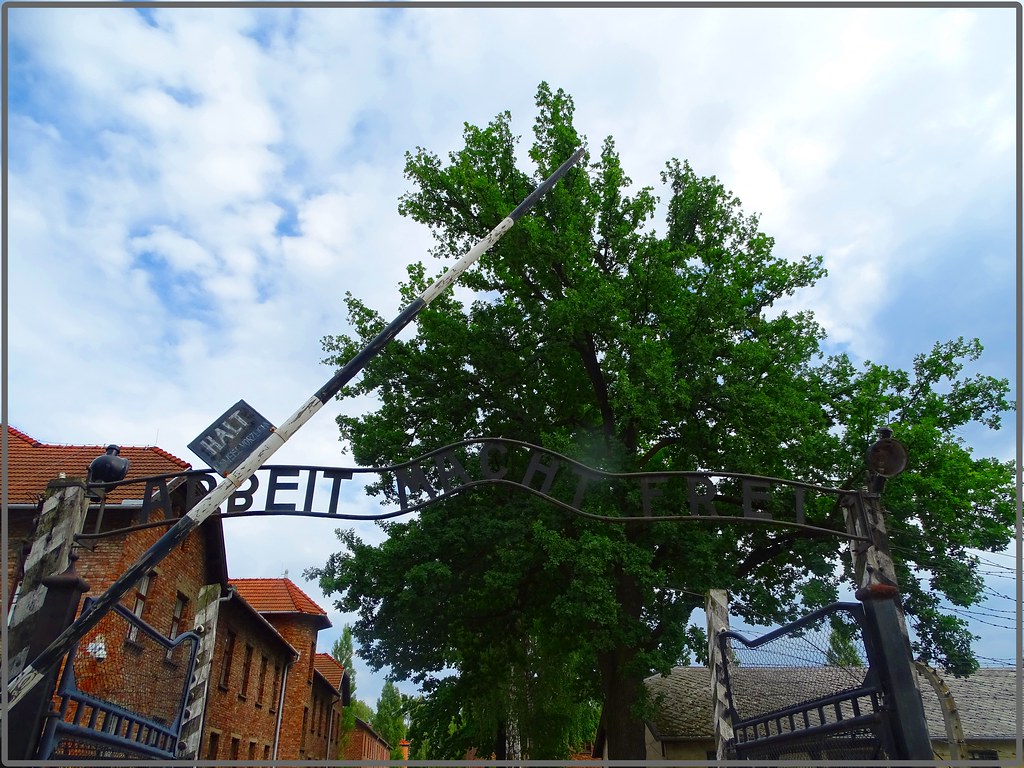 7 días en Polonia: Cracovia-Auschwitz-Tatras y Zakopane-Minas de Sal-Río Dunajec - Blogs de Polonia - Colina y Castillo de Wawel-Campo de concentración de Auschwitz (7)