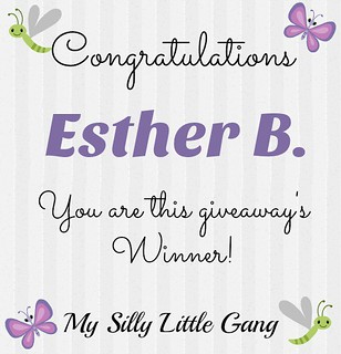 Winter Gift Card Giveaway & Giveaway Hop