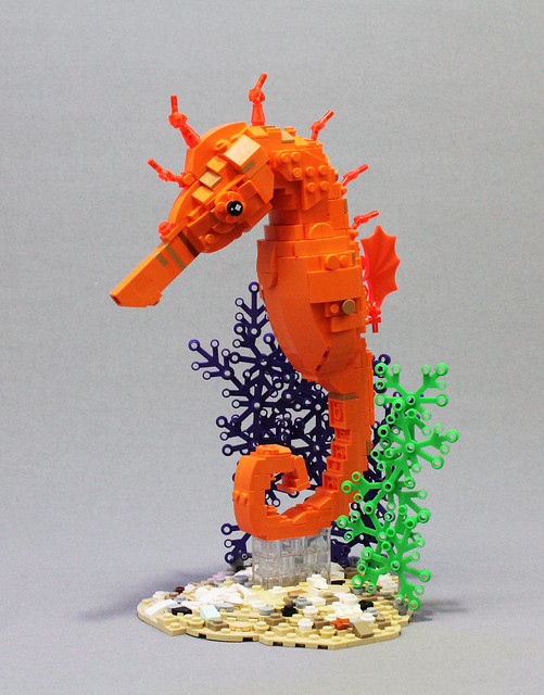 Tropical Seahorse
