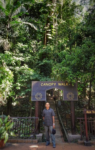 Canopy Walk