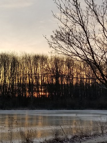 sunrise trees winter silhouette reflection pond ice s8 20190210icysunrise074430
