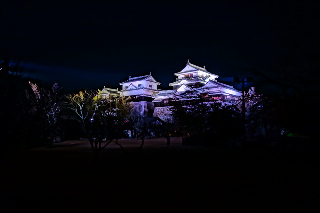 Castle at Night - Matsuyama, Japan