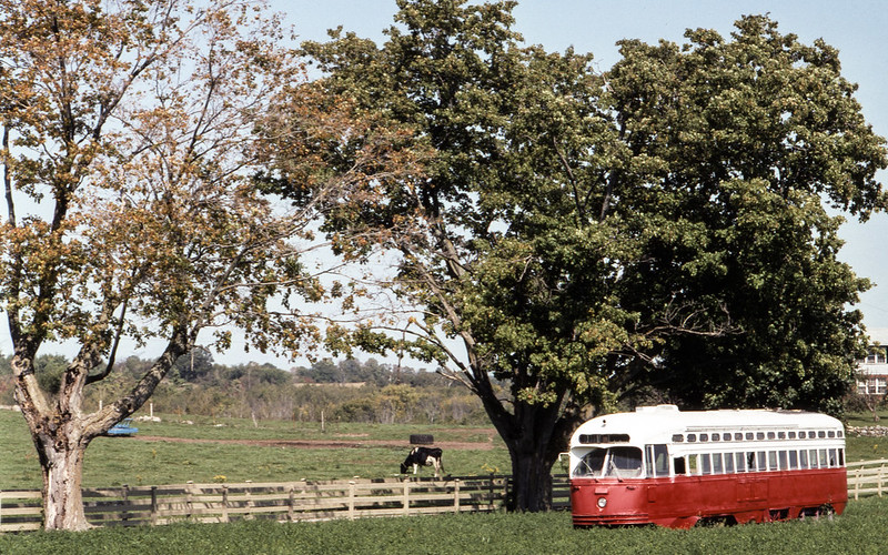 PCC Car in a Cow Pasture