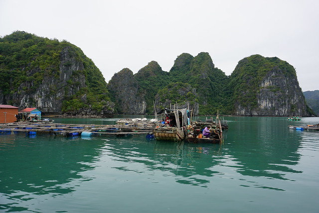 Navegando por Lan Ha y Halong, la bahía de los gigantes de piedra - VIETNAM, TIERRA DE DRAGONES (15)