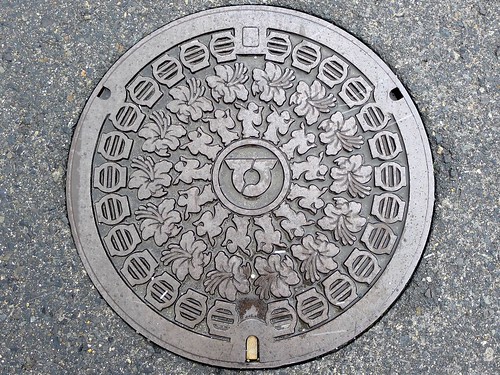 Toyosato Shiga, manhole cover （滋賀県豊郷町のマンホール）