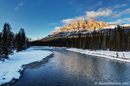 bowriver river banffnationalpark castlemountain scenery scene canadianrockies alberta banff beautiful blue bow canada canyon cold dream ripple famous fir forest green iconic mountain national paradise park pine rockies rock rocky scenic sky cloud white snow sunny sunset tourism tourist tranquility travel water winter