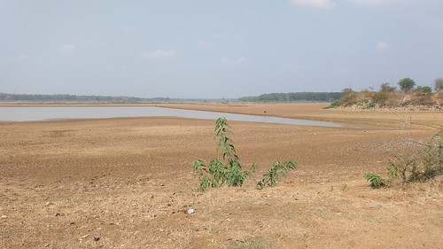 india karnataka lakes madhurekere natureandenvironment subject water what