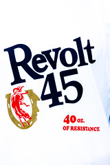 Revolt 45