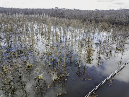 agricultural biological edting floods illinois nature places plants rivers shirlandharrisonarea water winnebagoco winslowroad drone suasmavicpro treesleaves durand unitedstatesofamerica us