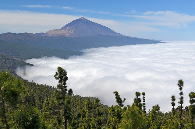 Mar de Nubes, Tenerife