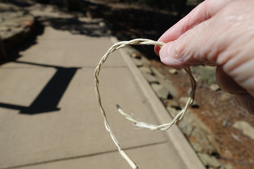 Cord made from Yucca Plant. From History Comes Alive at Chimney Rock National Monument
