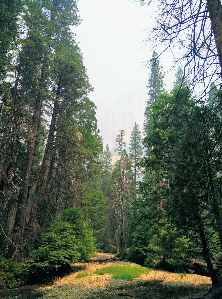 falls 01 - Yosemite 2018