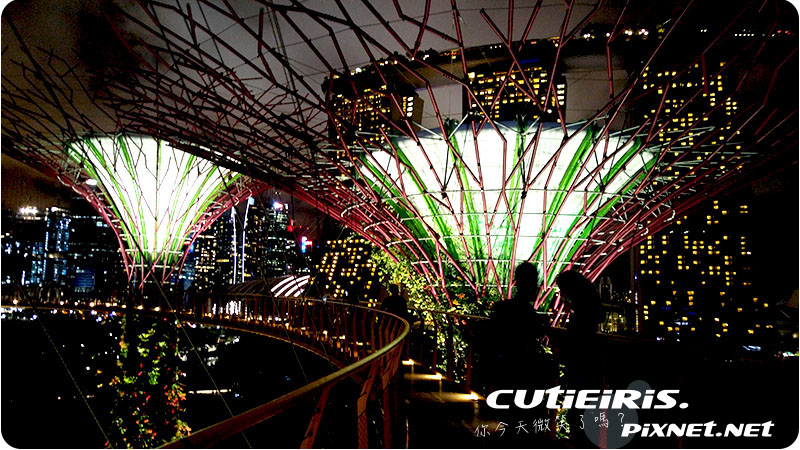 新加坡∥晚上最驚艷燈光秀濱海灣花園(Garden by the Bay)空中走廊(OCBC Skyway)超級樹(SUPERTREE GROVE)無法用言語形容的美 20 47445609061 b8fab59630 o