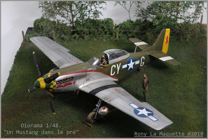 P-51D Mustang de Tamiya au 1/48.  Maj.Edward B.Giller. - Page 2 31492536387_19f05fb165_c