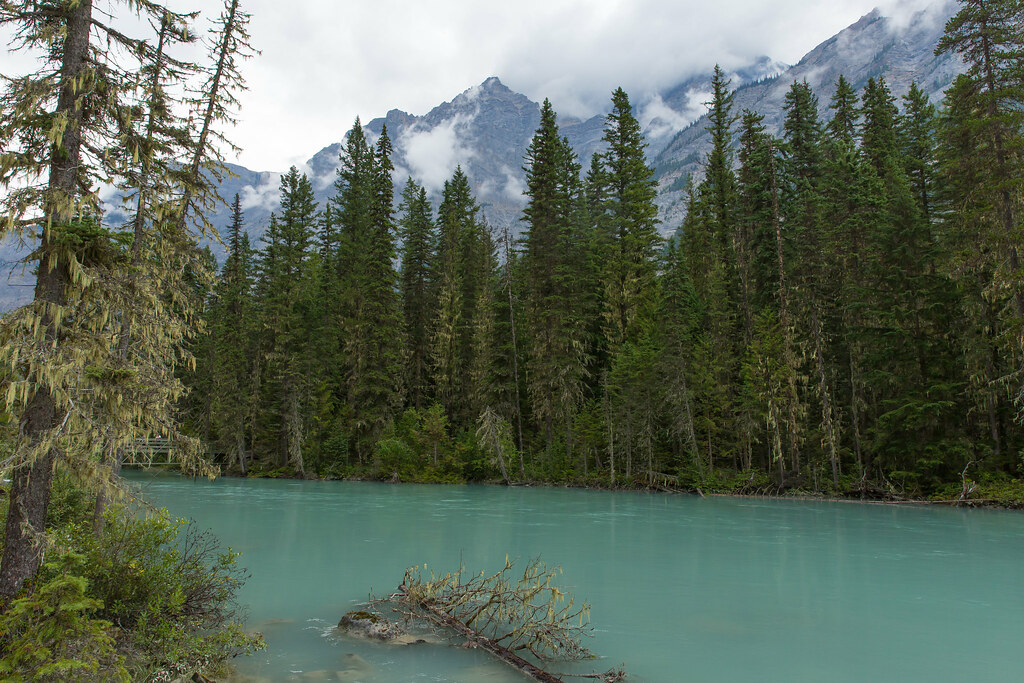 Berg Lake trail