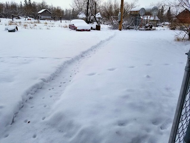 20181230.first.snowblow.smallgate.path.1