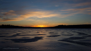 Winter in Cootes Paradise