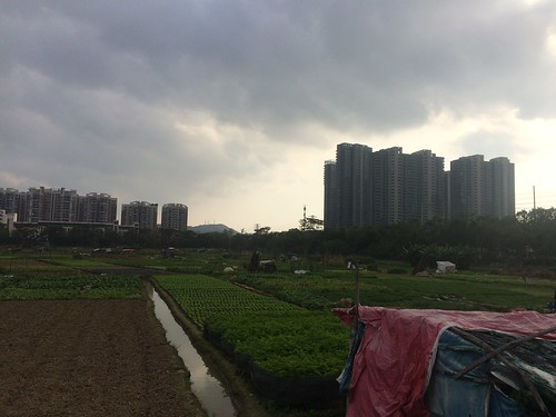 foshan apartments rural farming urban views river