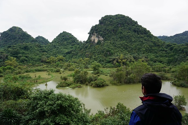 Más Tam Coc: recorrido en barca, Mua Cave y santuario de aves de Thung Nham - VIETNAM, TIERRA DE DRAGONES (24)