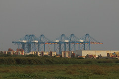 Cranes Tema Port in Ghana