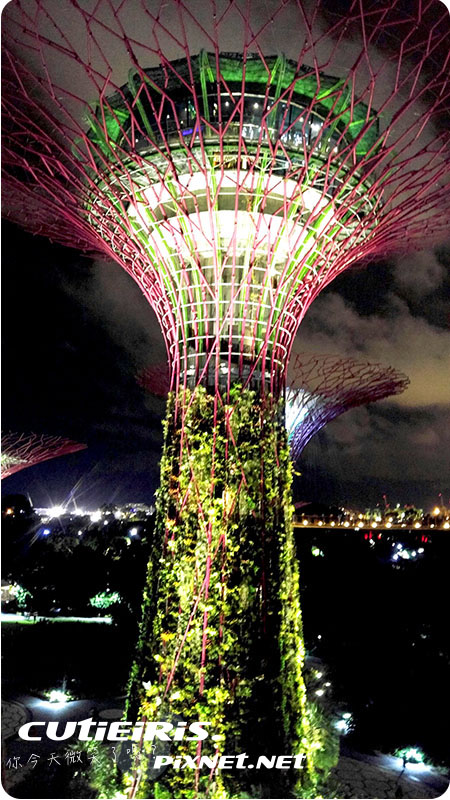 新加坡∥晚上最驚艷燈光秀濱海灣花園(Garden by the Bay)空中走廊(OCBC Skyway)超級樹(SUPERTREE GROVE)無法用言語形容的美 19 46722570624 4c52dde7ef o