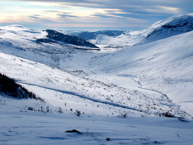Lewis Hills Ophiolite Massif in Winter