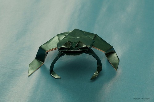 Origami Frog (Stephen Weiss)