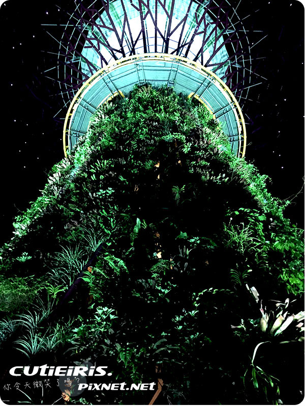 新加坡∥晚上最驚艷燈光秀濱海灣花園(Garden by the Bay)空中走廊(OCBC Skyway)超級樹(SUPERTREE GROVE)無法用言語形容的美 7 32503940007 4c36cc6b85 o