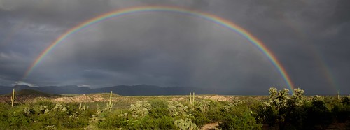 2016 arizona cacti desert flickr gps landscapes mountains panoramic pinalcounty rainbows saguarocactuscarnegieagigantea sanpedrorivervalley specialsize usa unitedstatesofamerica