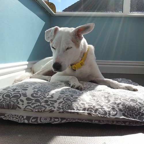 Keeping your eyes open and your head up is very hard when you're in a sunny spot.