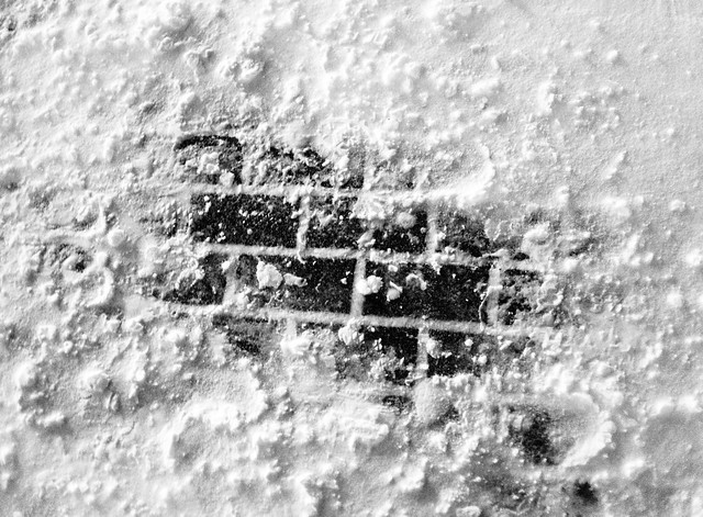 Bricks Fighting through Snow