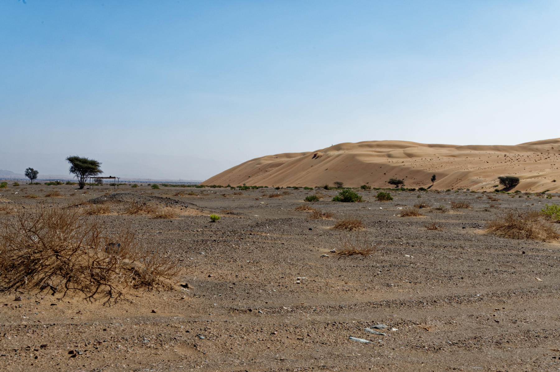 Abrupt start to the Oman desert