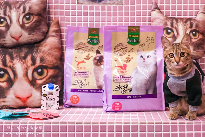 寶多福LOVE CAT系列寵物食品,寶多福貓飼料,寶多福貓飼料評價,貓咪飼料 @陳小可的吃喝玩樂