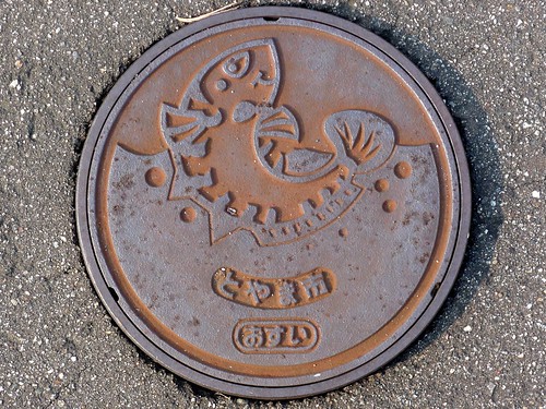 Toyama city Toyama pref, manhole cover 9 （富山県富山市のマンホール９）