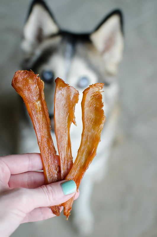 Homemade Chicken Jerky for Dogs - the easiest dog treat recipe! Thinly sliced chicken baked at a really low temperature until dehydrated. My dogs love this!