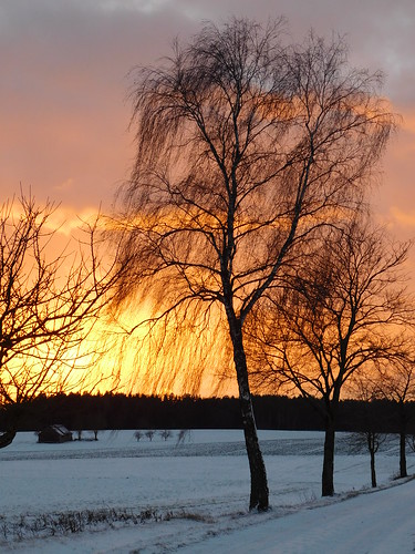 sonnenuntergang sunset oberpfalz upper palatinate himmel sky wolken clouds landschaft landscape schneelandschaft winterlandschaft schnee snow baum tree birke birch